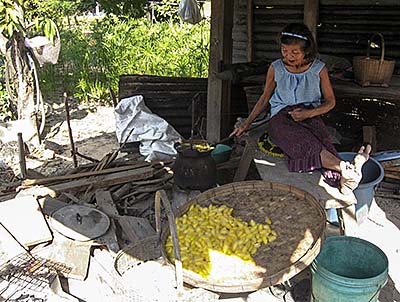 'Thai Silk Yarn Production in an Isan Village' by Asienreisender